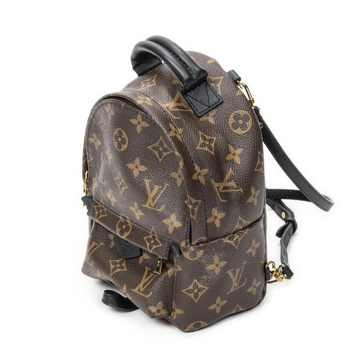 Louis Vuitton Palm Spring Brown Monogram Canvas — view 2