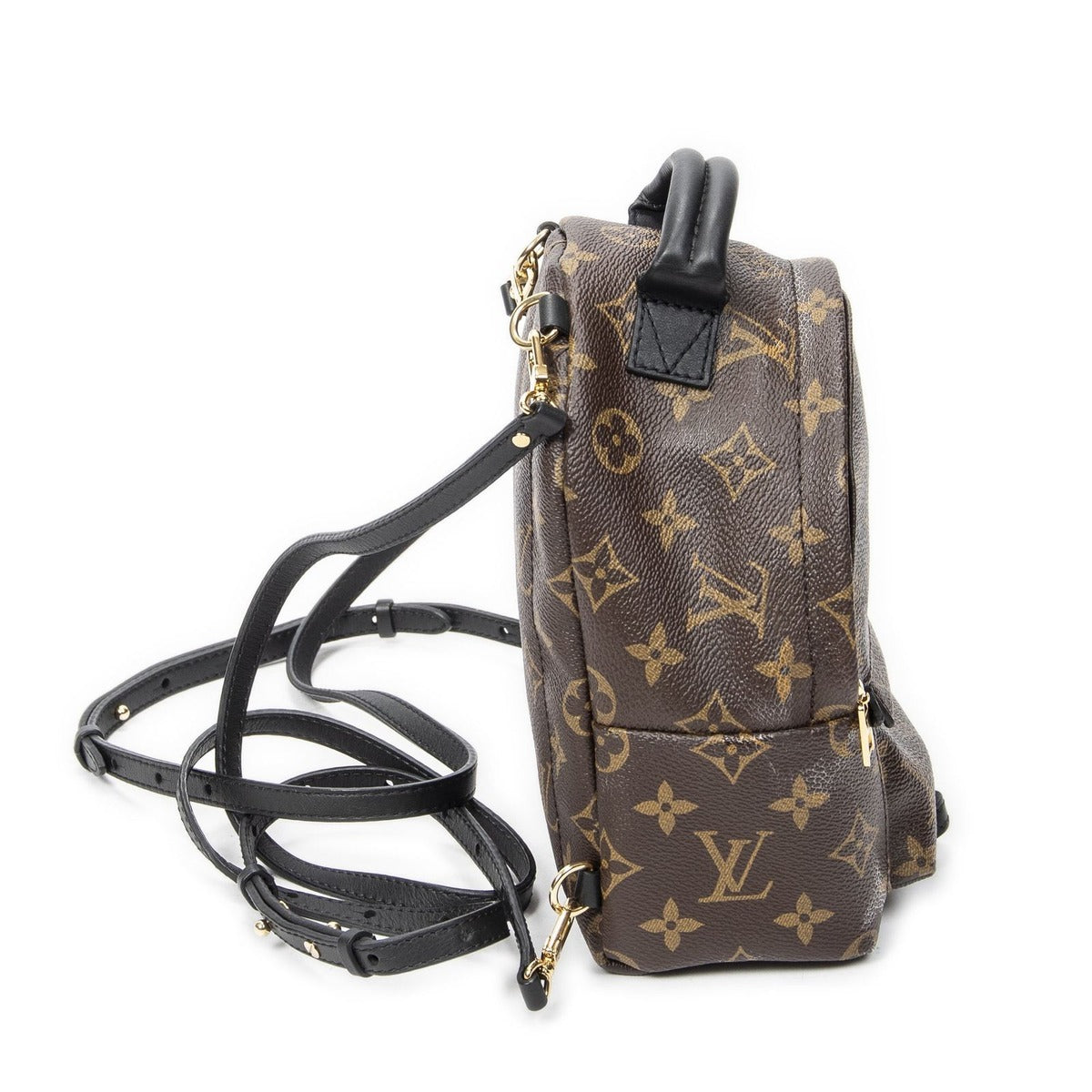 Louis Vuitton Palm Spring Brown Monogram Canvas — view 4