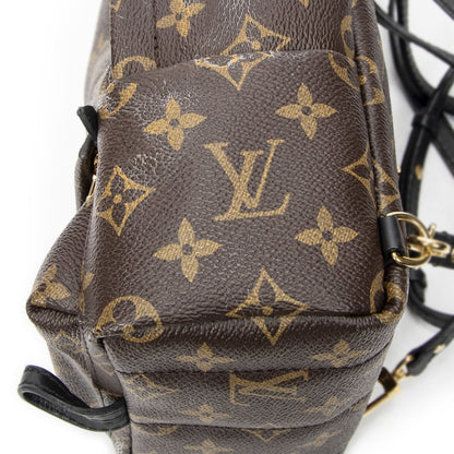 Louis Vuitton Palm Spring Brown Monogram Canvas — view 8