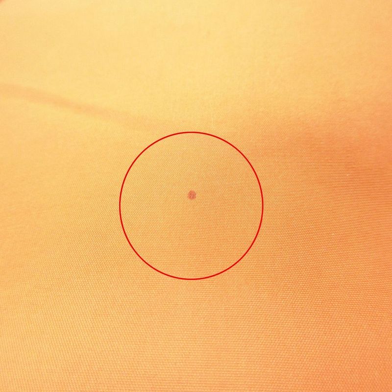 Hermes Reversible Cashmere Down Jacket Hermes Orange Hermes Reversible 100%