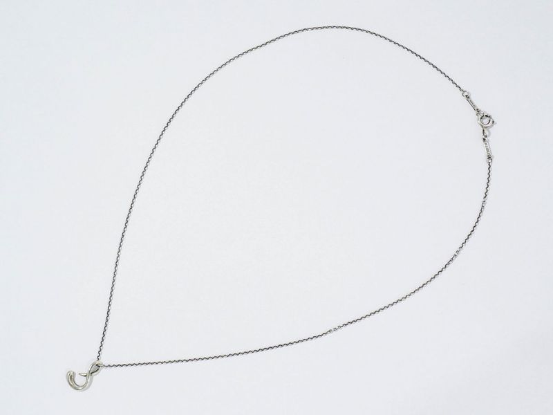 Authentic Tiffany & Co Tiffany & Co Letter Initials S 925 Necklace Pendant