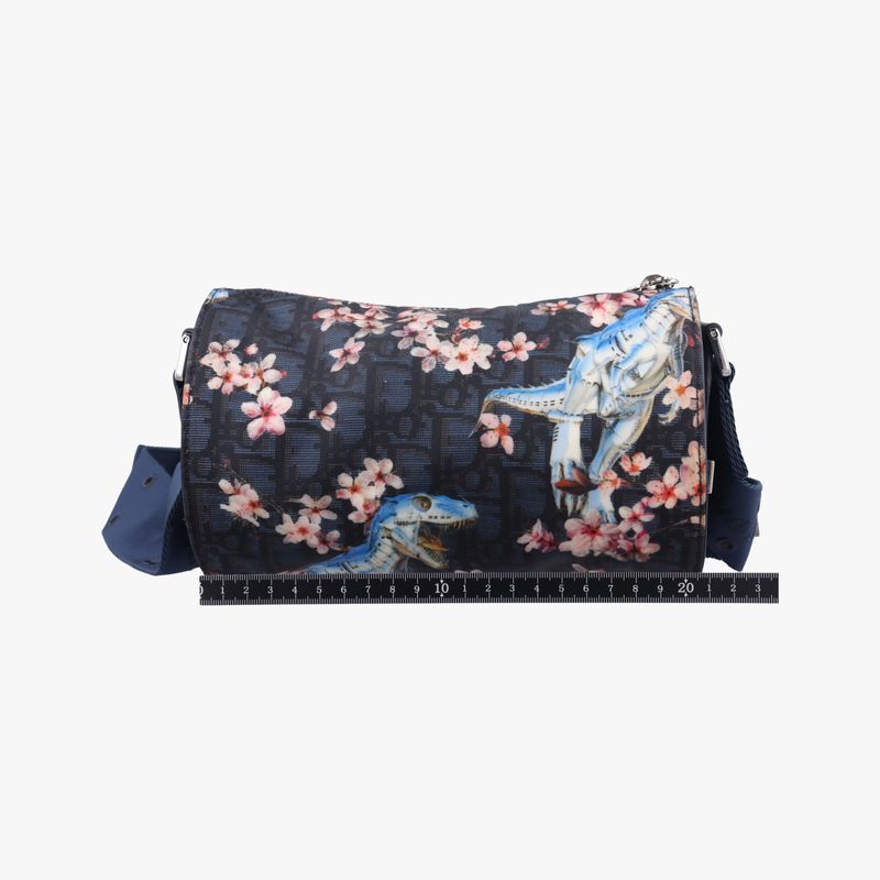 Christian Diorchristian Dior Solayama Robot Dinosaur Black And Multicolor Nylon