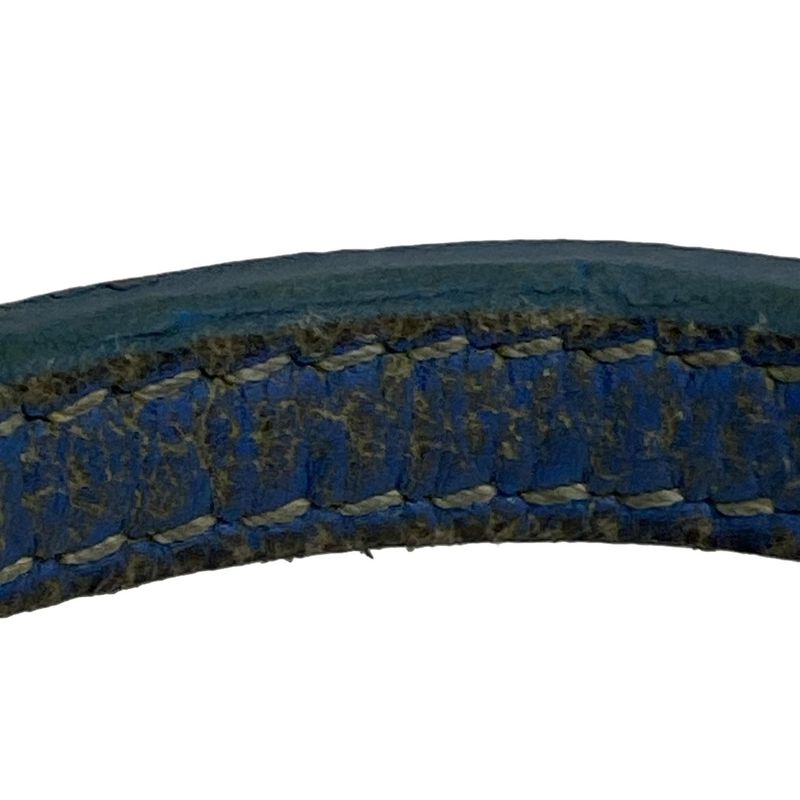 Goyard Saint Louis PM Blue×white×multi Leather