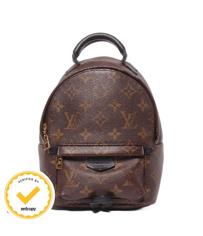 Louis Vuitton Palm Springs Backpack Mini Monogram