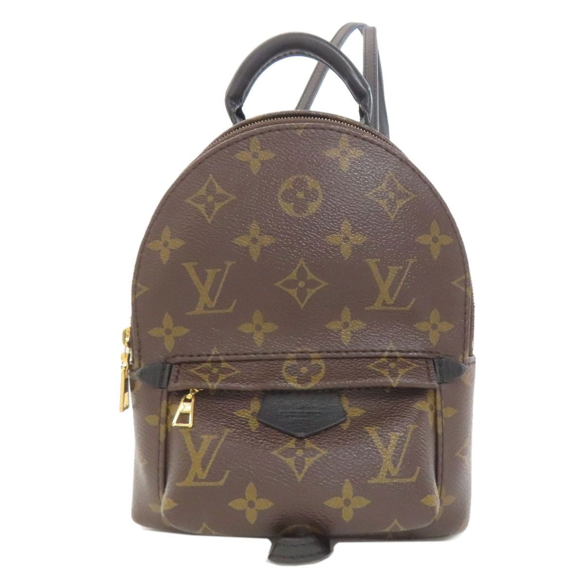 Louis Vuitton Palm Spring Mini Backpack