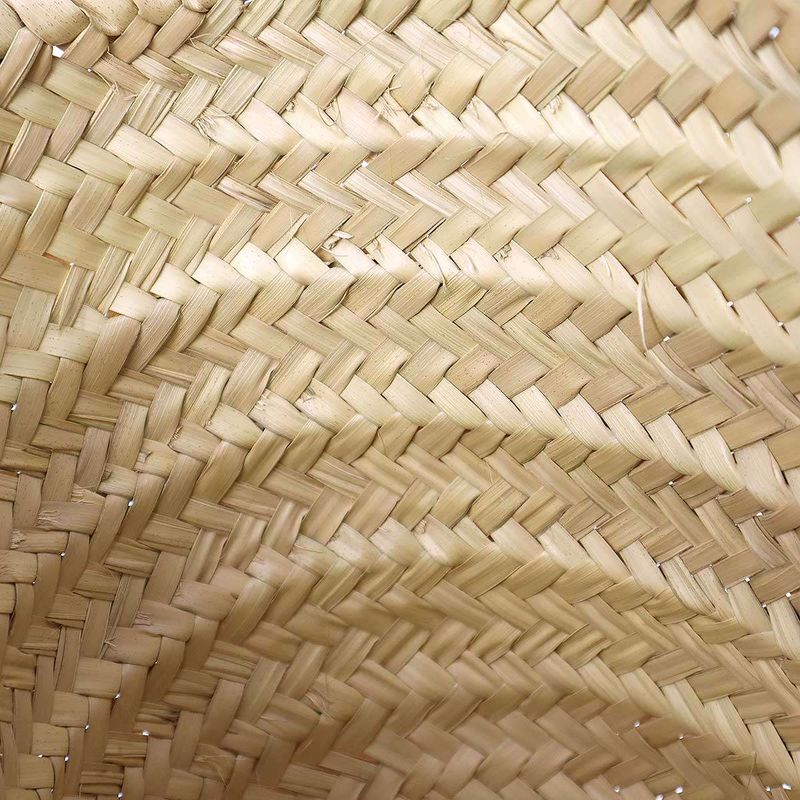 Celine Triomphe Medium Classic Pannier Basket Tote Bag Beige Brown