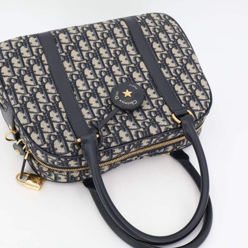 Christian DIOR Vibe Oblique Canvas And Leather 2WAY Handbag