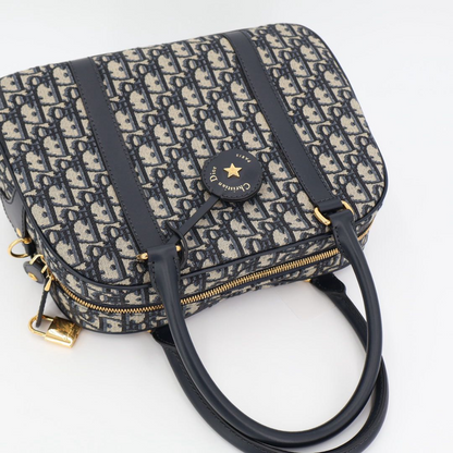 Christian DIOR Vibe Oblique Canvas And Leather 2WAY Handbag