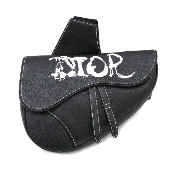 Dior Saddle Bag Peter Doig