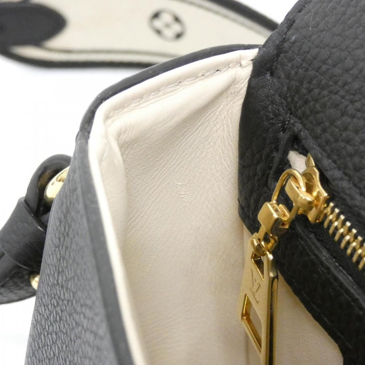 Louis Vuitton LV Pont Neuf Soft PM Shoulder Bag — view 9