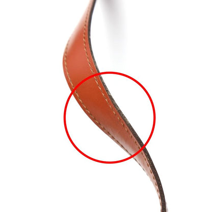 Louis Vuitton M52333 Epi Tote Bag Saint-jacques Poitiers Long Handbag Louis