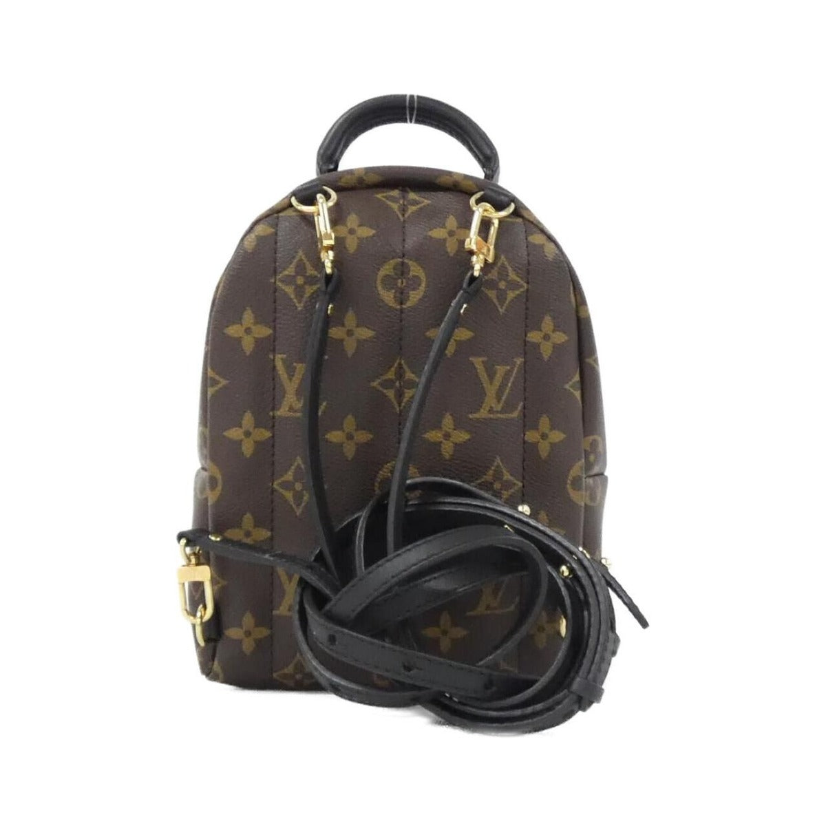 Louis Vuitton Monogram World Tour Palm Spring Backpack Mini Sac Brown Marron — view 2