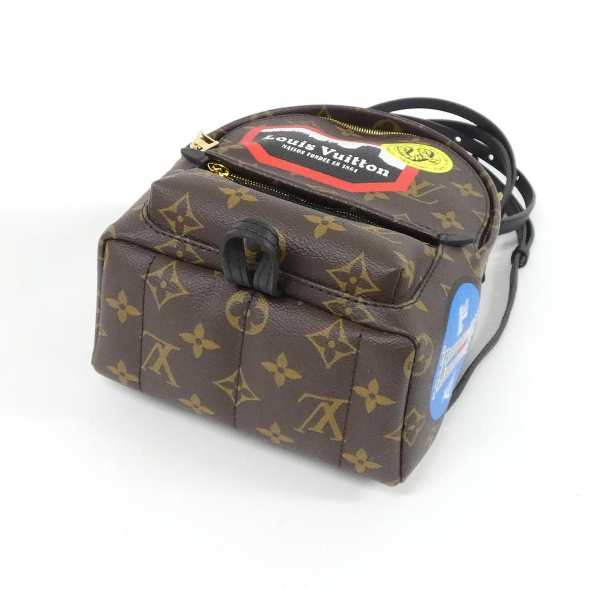 Louis Vuitton Monogram World Tour Palm Spring Backpack Mini Sac Brown Marron — view 3
