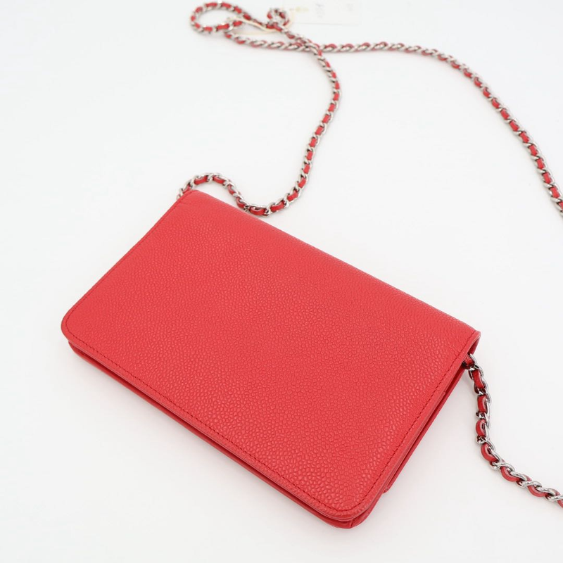 Chanel Chain Wallet Shoulder Bag
