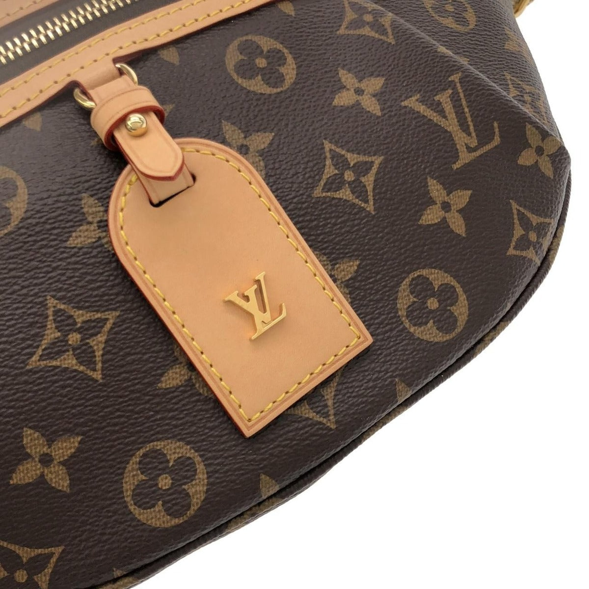 Louis Vuitton Monogram High Rise Bag — view 4