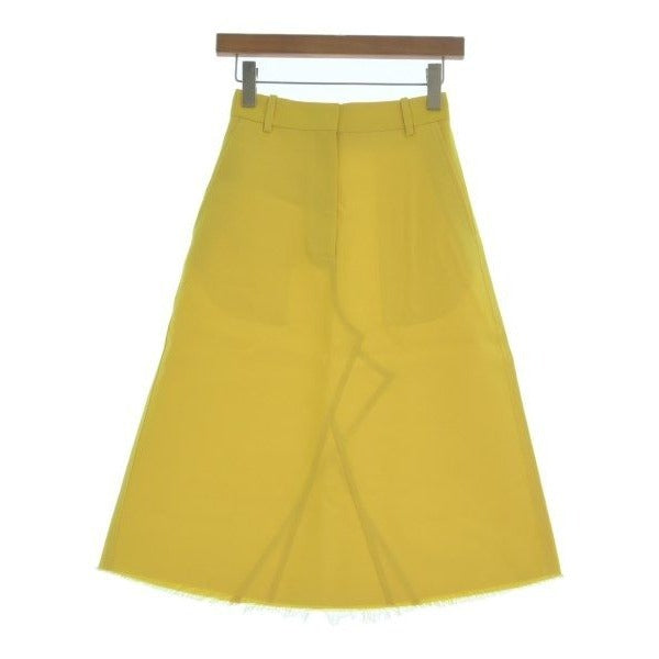 Loewe Knee Length Skirt