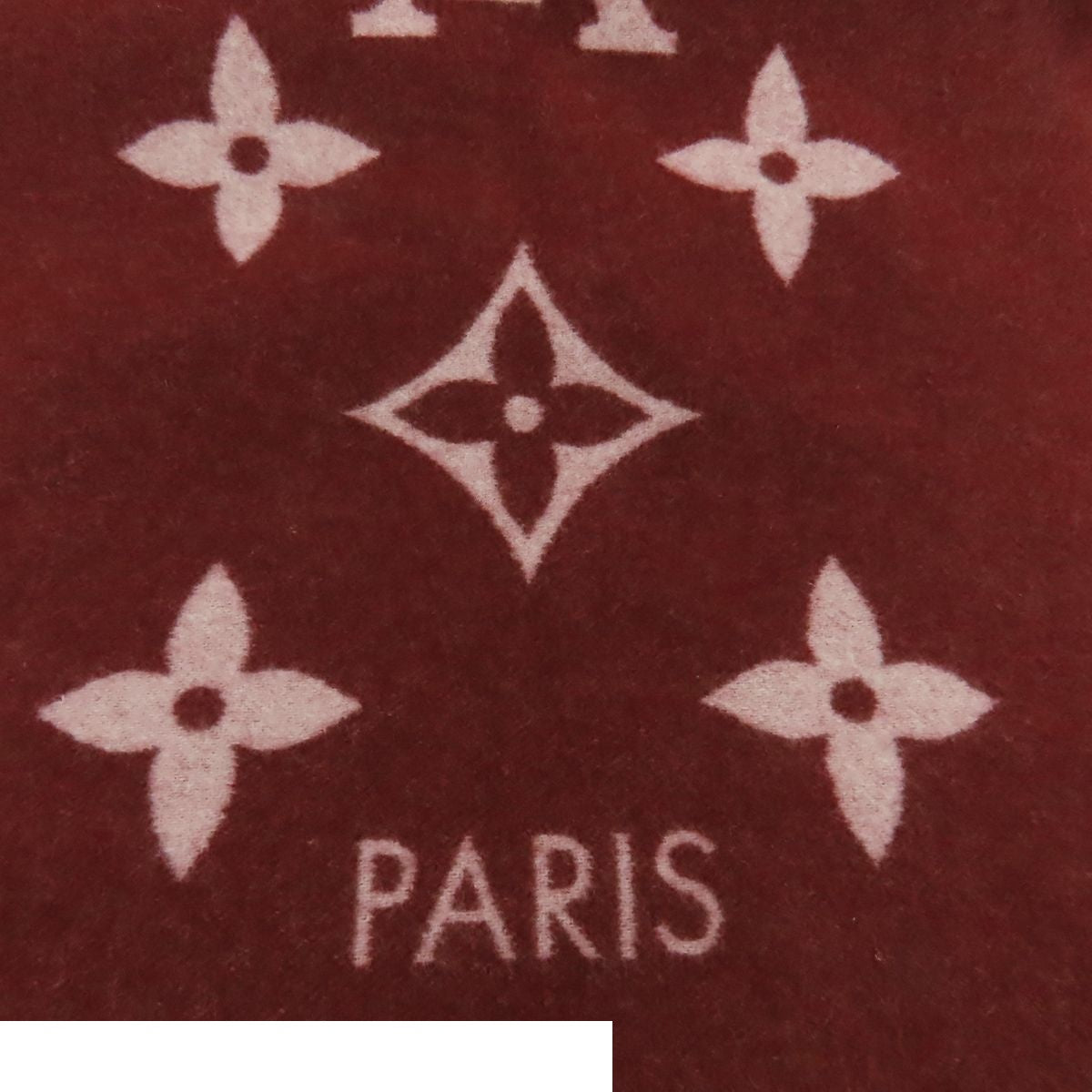 Louis Vuitton Echarpe Reykjavik Bordeaux Cashmere Logo Scarf — view 5