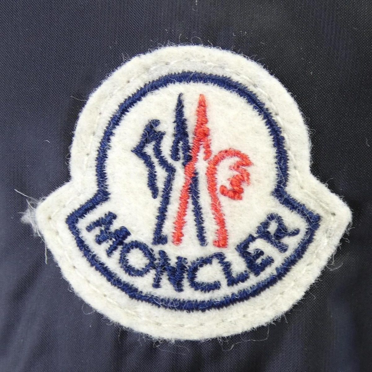 Moncler Anet Down Jacket — view 9