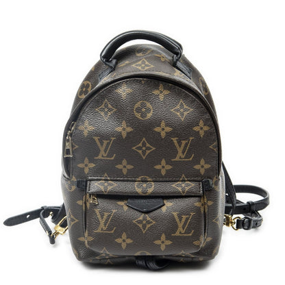 Louis Vuitton Palm Spring Brown Monogram Canvas Handbag