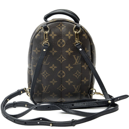 Louis Vuitton Palm Spring Brown Monogram Canvas Handbag — view 5