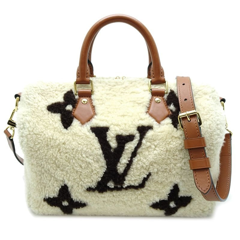 Louis Vuitton Handbag Speedy