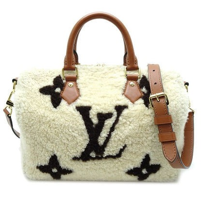 Louis Vuitton Handbag Speedy