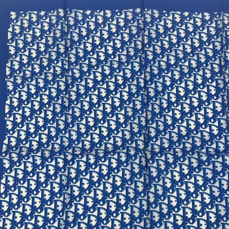 Christian DIOR Scarf Silk Trotter Blue
