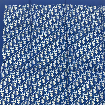 Christian DIOR Scarf Silk Trotter Blue