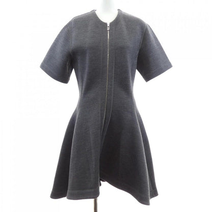 Dior Dress Gray