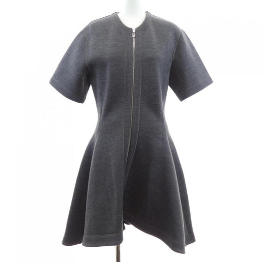 Dior Dress Gray