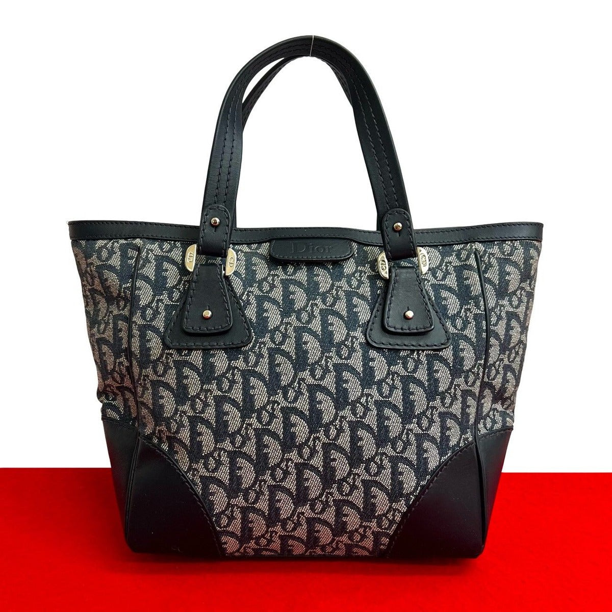 Dior Trotter Pattern CD Logo Canvas Leather