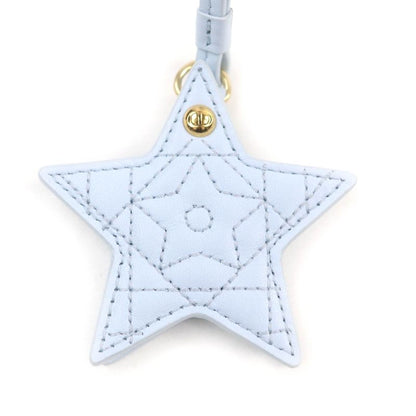 Christian DIOR 25SS V1577womlm Logo Leather Bag Charm With Star Mirror Light