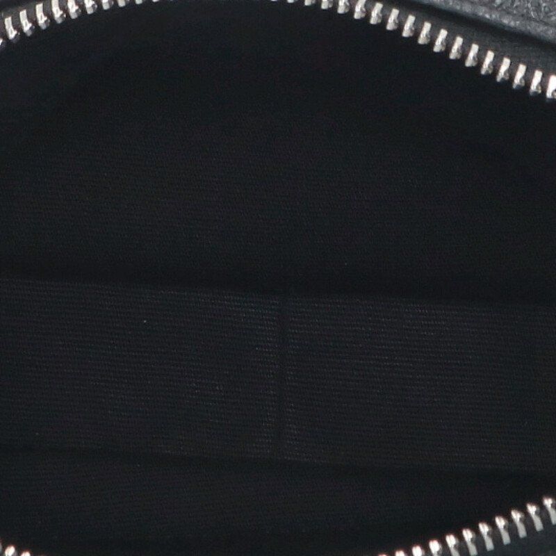 Celine 24AW 119243gdw Mini Camera Bag Triomphe Embossed Leather Shoulder Bag