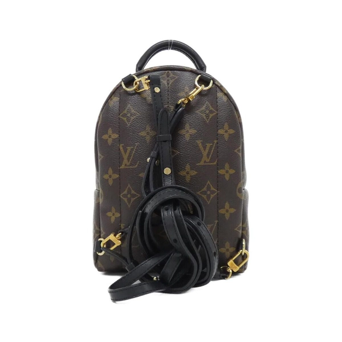 Louis Vuitton Monogram World Tour Palm Springs Backpack Mini Sac — view 2