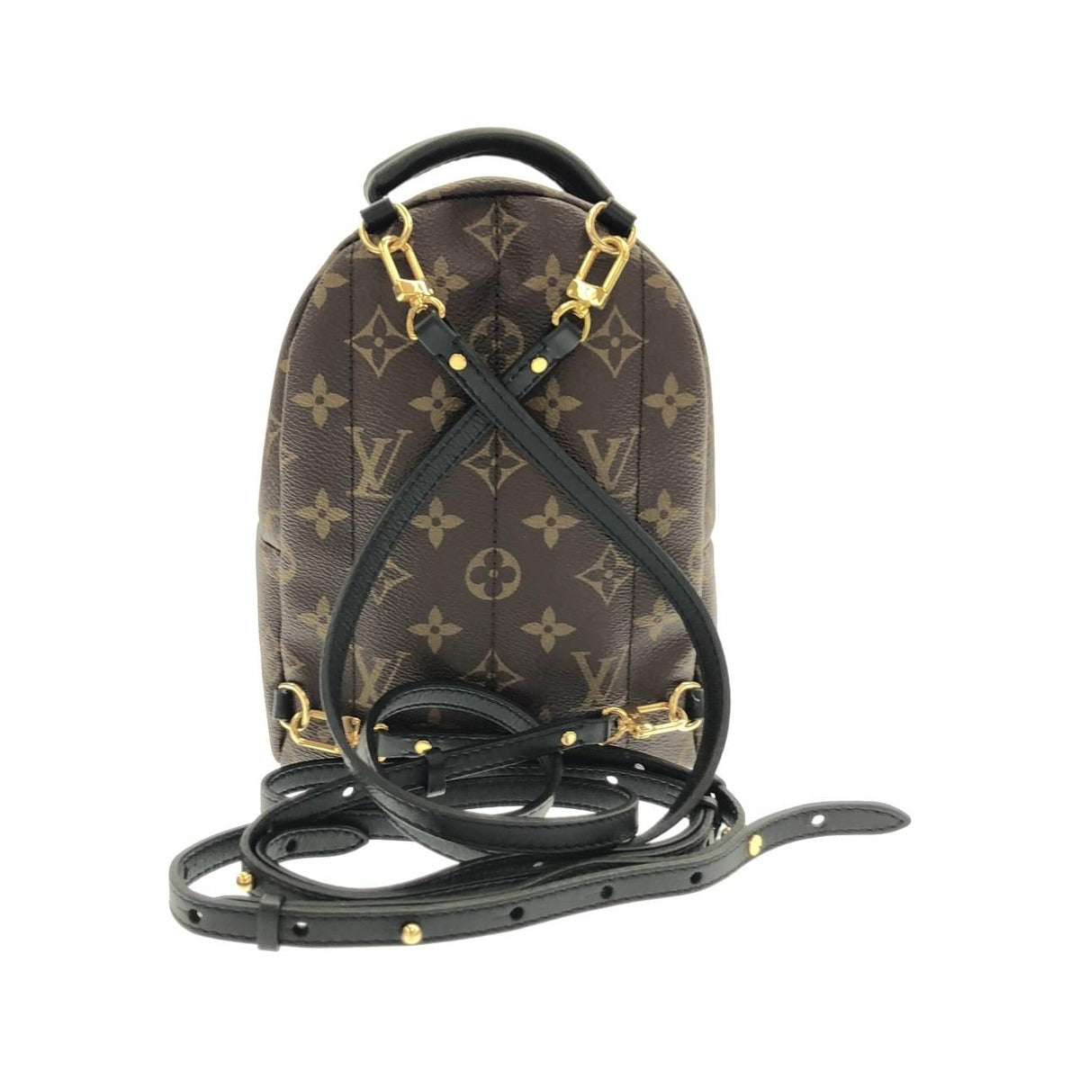 Louis Vuitton Monogram Palm Spring Backpack Mini Sac Brown Marron — view 2