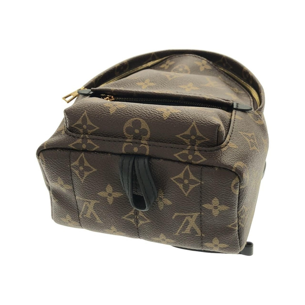 Louis Vuitton Monogram Palm Spring Backpack Mini Sac Brown Marron — view 3