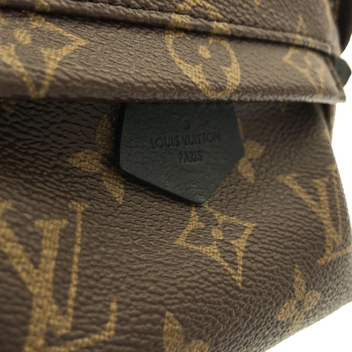 Louis Vuitton Monogram Palm Spring Backpack Mini Sac Brown Marron — view 4