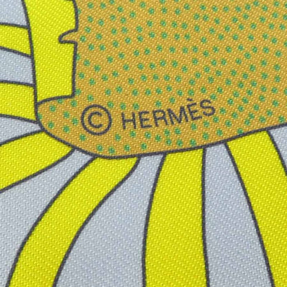 Hermes Scarf Twilly