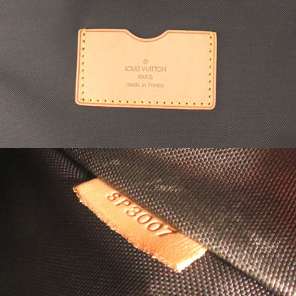Louis Vuitton Carry Bag