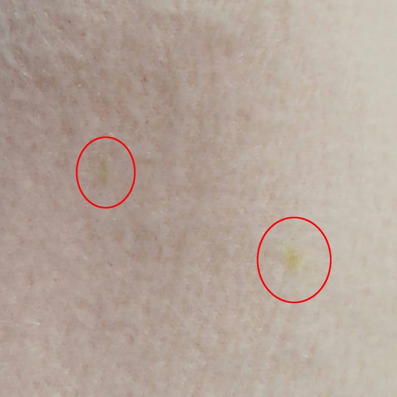 Hermes 100% Cashmere Extra Large Shawl With Logo Embroidery