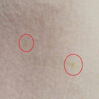 Hermes 100% Cashmere Extra Large Shawl With Logo Embroidery