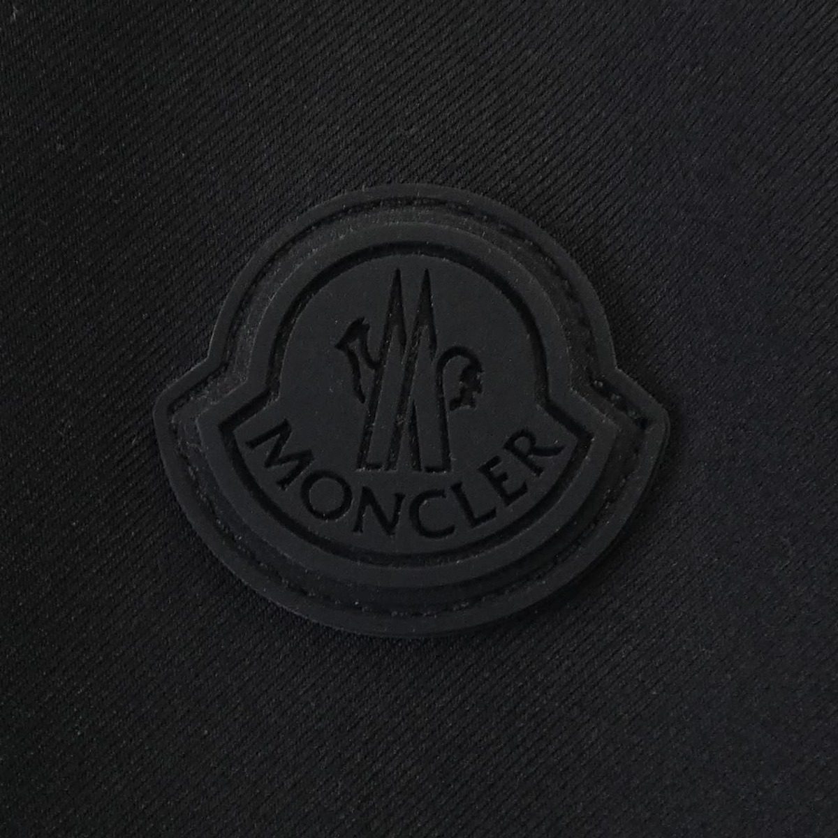 Moncler Balaitous Down Jacket — view 8