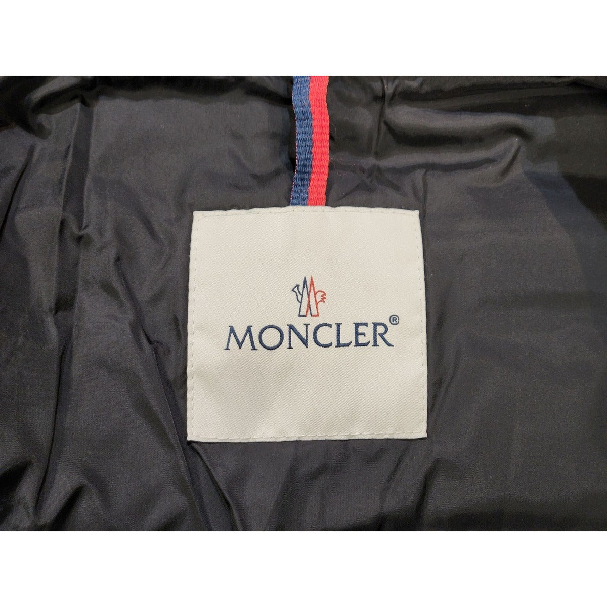 Moncler Charpal Down Coat — view 6