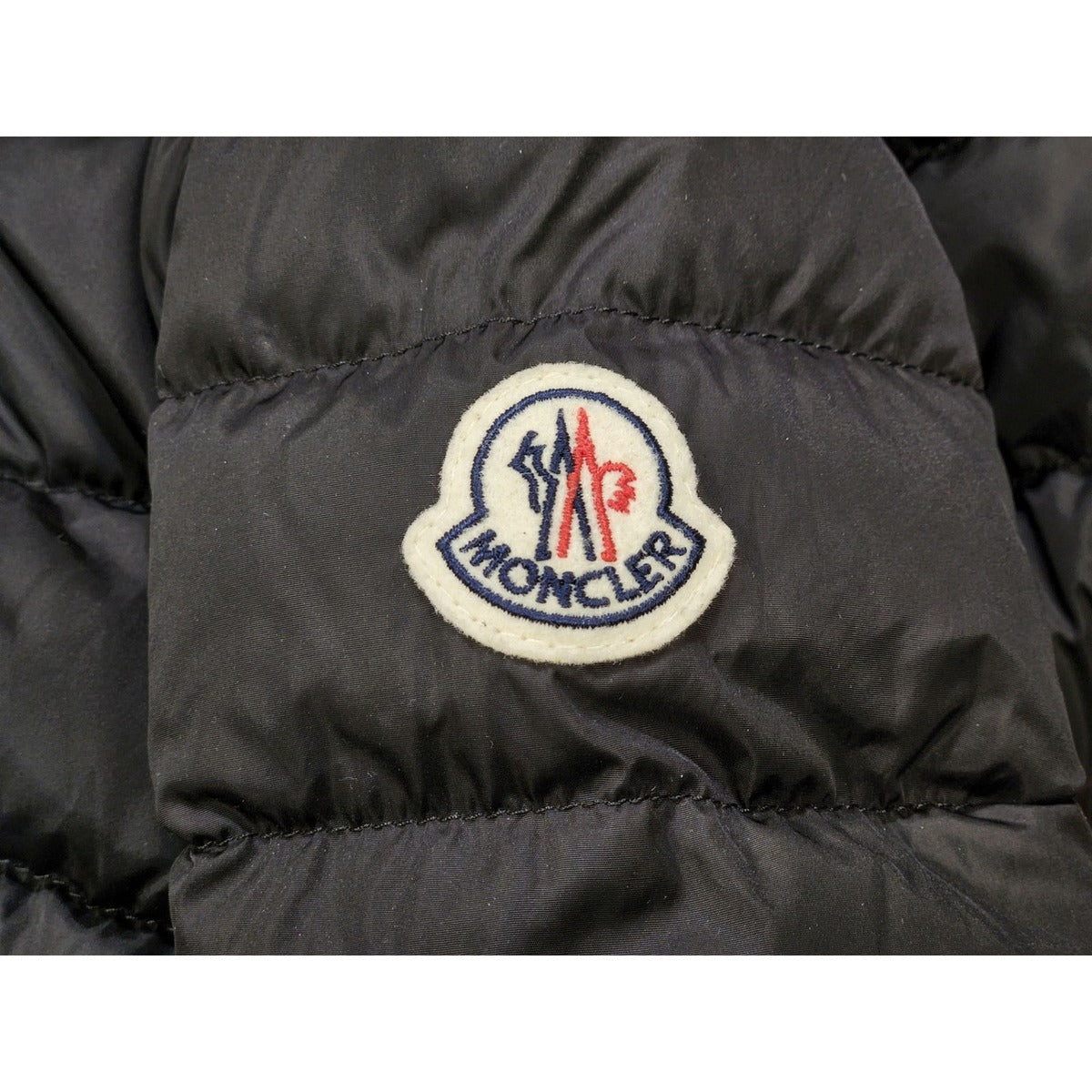 Moncler Charpal Down Coat — view 7