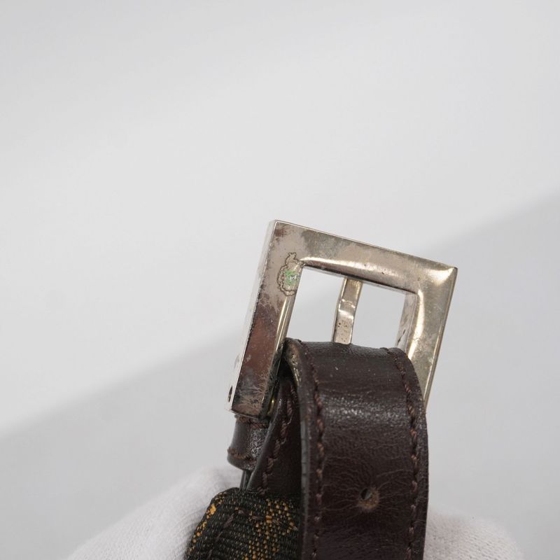 Fendi Handbag Zucca Nylon Canvas Brown Silver Hardware Women