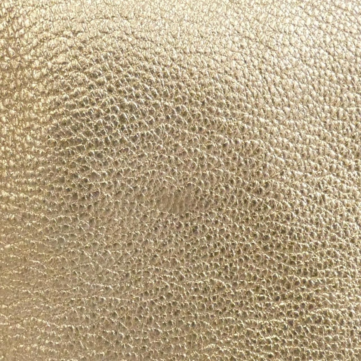 Loewe Bag Gold — view 5