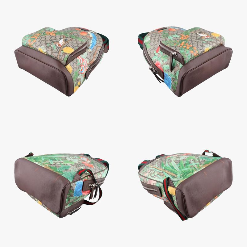 Guccigg Supreme Bengal Brown X Multicolor PVC Coated Canvas 428027g019885308