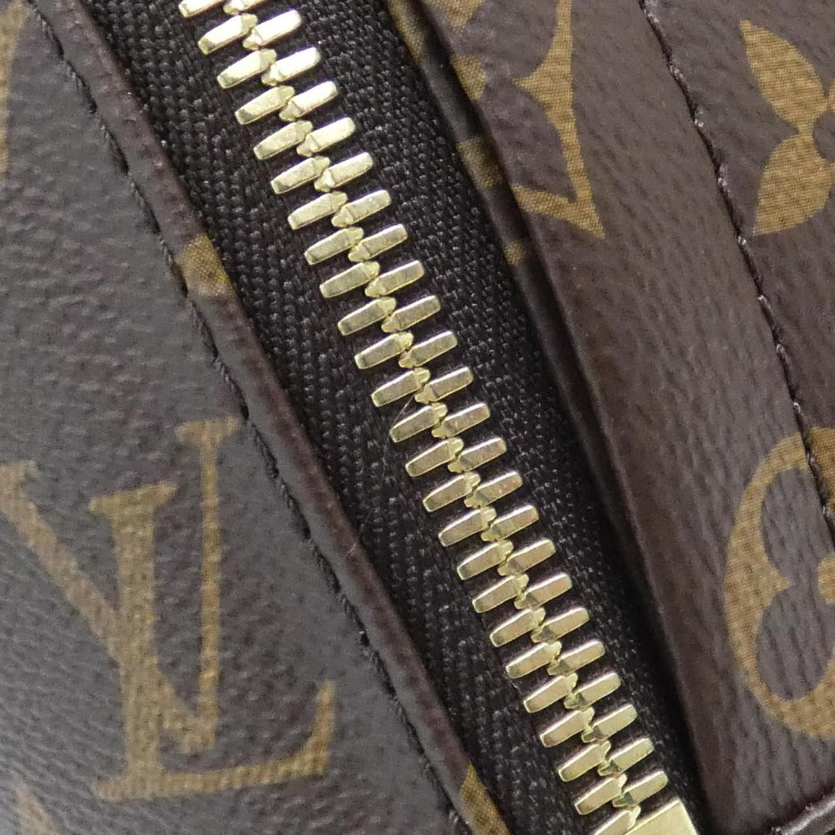 Louis Vuitton Monogram Palm Spring Backpack MM Sac — view 4