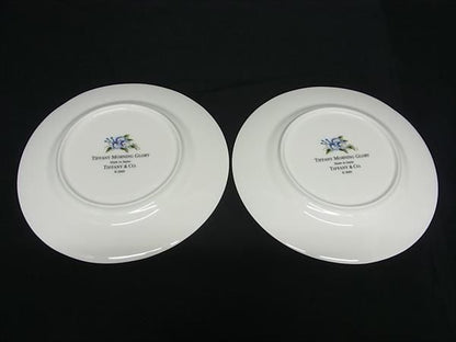 Tiffany & Co Tiffany & Co Morning Glory Plate Set Of 2 Plates Dinnerware