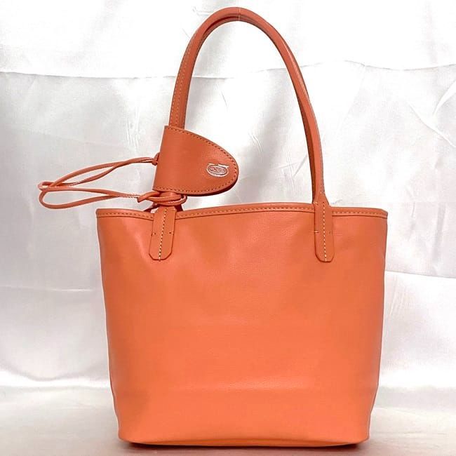 Goyard Tote Bag Ange Mini Pouch F21489 Salmon